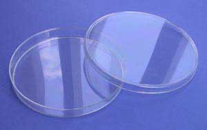 150mm extra-sturdy Petri Dishes (120/cs)