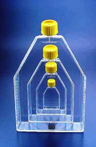 TC Flask, 300cm<sup>2</sup>, Filtered Cap, (18/cs)