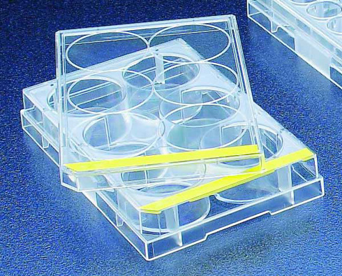 TC Test Plate, 6 Flat-Bottom Wells -(126/cs)