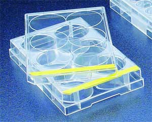 TC Test Plate, 6 Flat-Bottom Wells -(126/cs)