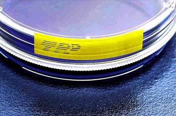 TC Dish, 150mm x 20mm - (100/cs)