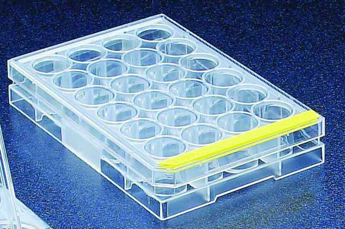 Untreated Plate, 24 Flat-Bottom Wells -(100/cs)