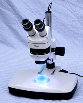 Image for Low-Cost GFP/ RFP Fluorescence Stereo-Microscope System coming soon!