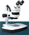 stereo microscope