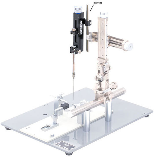 Microinjector for performing injections into the brain
