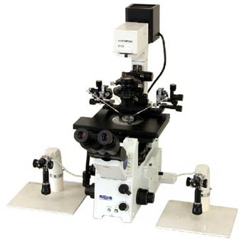 Olympus Hydraulic Fine Joystick+ Mechanical Coarse Micromanipulators (pair)